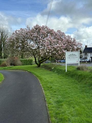 The Spinney Barnstaple Kültér fotó