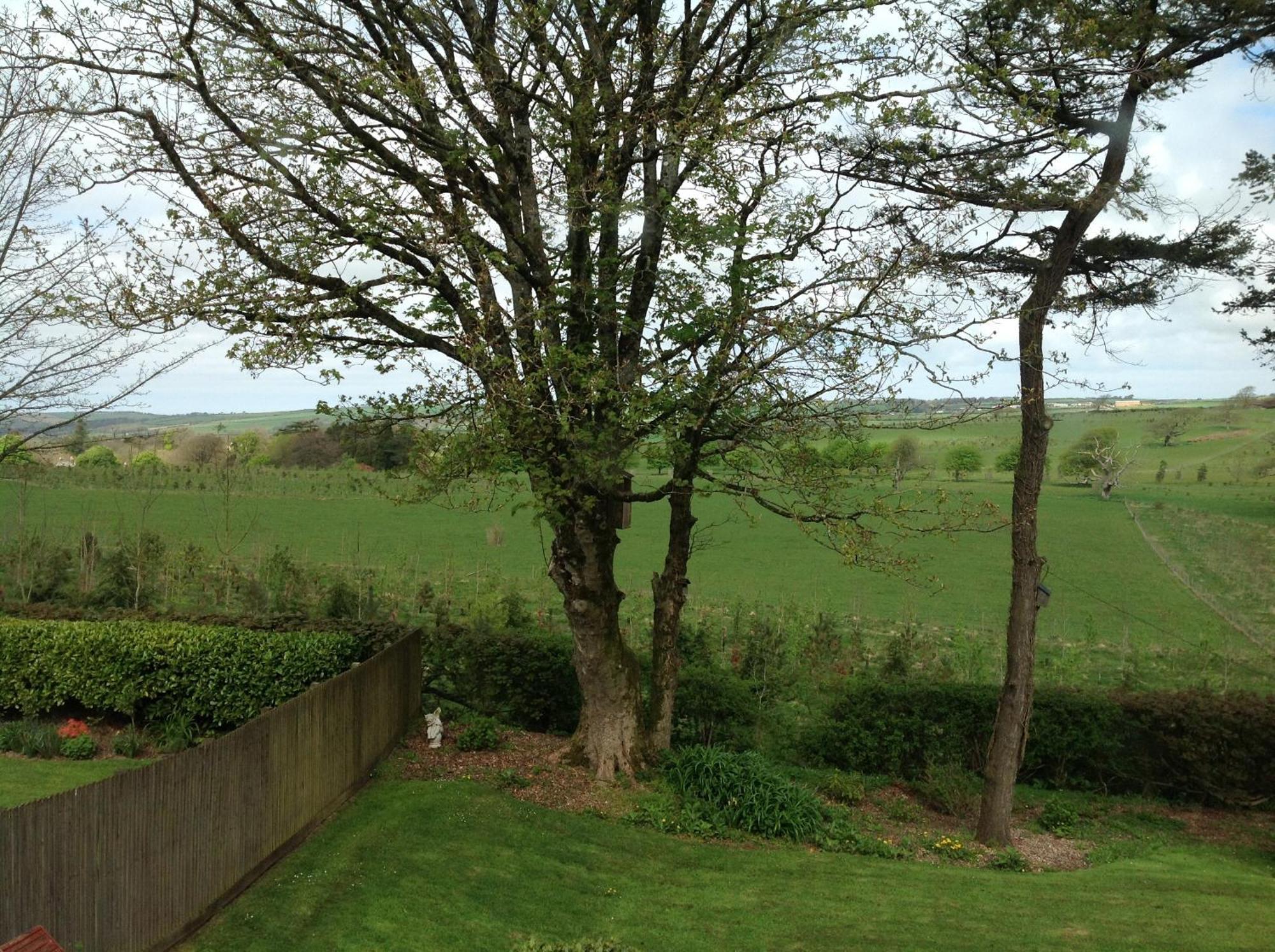 The Spinney Barnstaple Szoba fotó